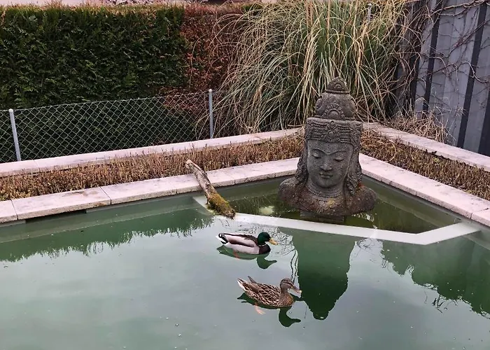 Olympia By The Daire